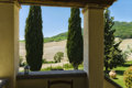 Lucertola - 31